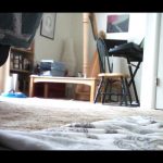 Nizhoni Hopping About