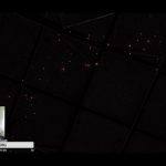 fighting the internet instead of the killer