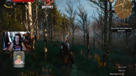 The witcher 3 !  got laundry going and food on the way. might need to afk for a minute or 2 here and there..