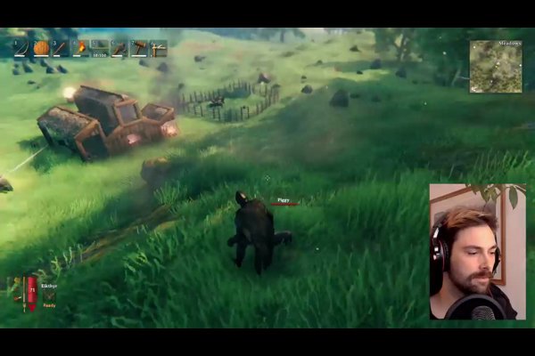 Highlight: Free the pigs