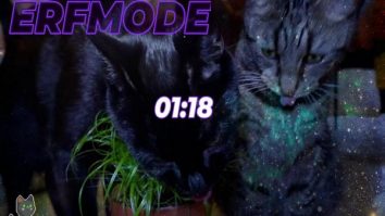 The Bestest Gameshow your Cats will EVER see // BTTV // !giveaway !mentalhealth !discord