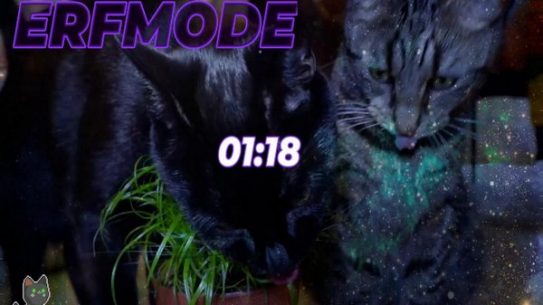 The Bestest Gameshow your Cats will EVER see // BTTV // !giveaway !mentalhealth !discord
