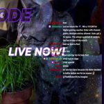 It’s Showtime feet. Etrom // Brawl 1v1s // // Tier Checklist // Streamer Face Off // !giveaway !mentalhealth !instructions