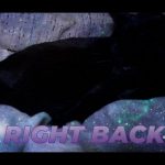 The Bestest Gameshow your Cats will EVER survey // BTTV // !giveaway !mentalhealth !discord