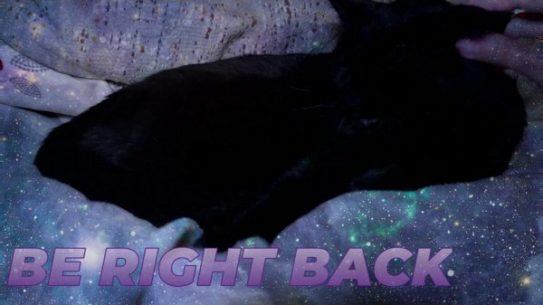The Bestest Gameshow your Cats will EVER survey // BTTV // !giveaway !mentalhealth !discord