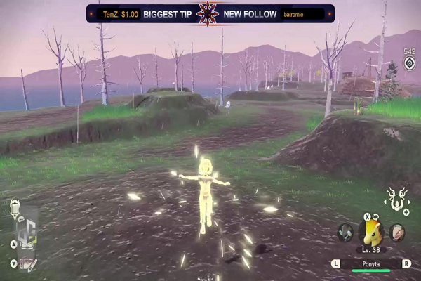 Time to play a game of Wack, Fuck !gg !egg Toll road to Partner