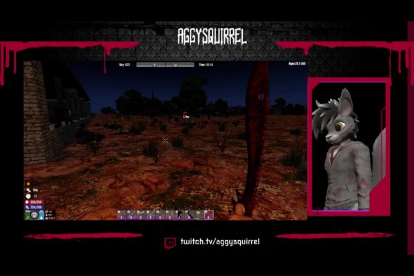 7 DAYS unhurried evening with a squirrel