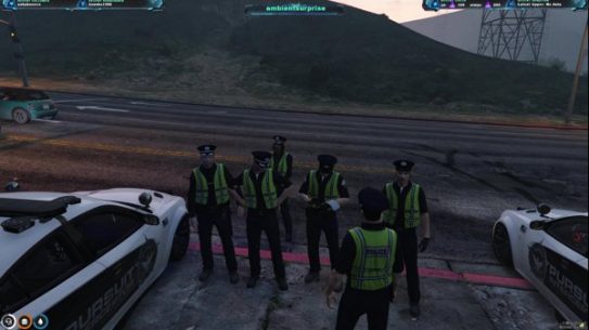 Oink Oink Terry LaPig / ZENO RP / 420 XD  UK Clinical