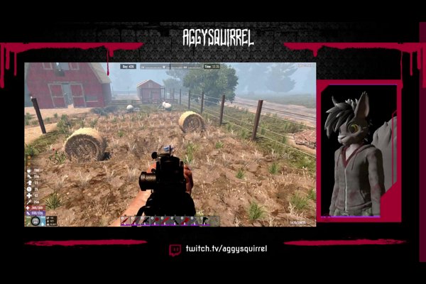 7 DAYS late evening with a squirrel