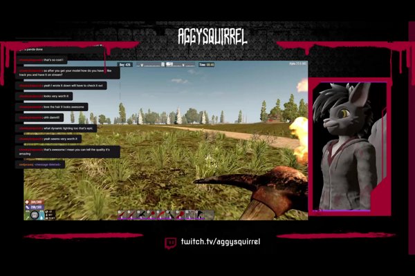 7 DAYS leisurely night with a squirrel