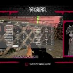 7 DAYS slack night with a squirrel