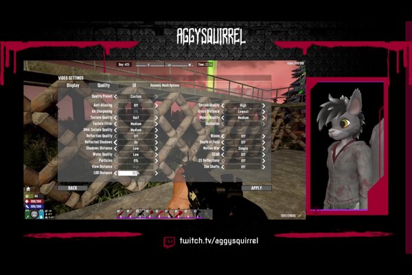 7 DAYS slack night with a squirrel