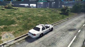 Terry LaBuff / ZENO RP/ 420 UK Medical