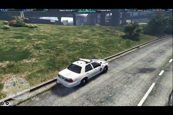 Terry LaBuff / ZENO RP/ 420 UK Medical