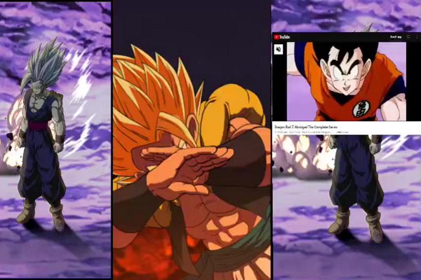 Dragon Ball Z : Dokkan Wrestle. RED zone,…    Personnel Unique LR 90 / 💯 !!!