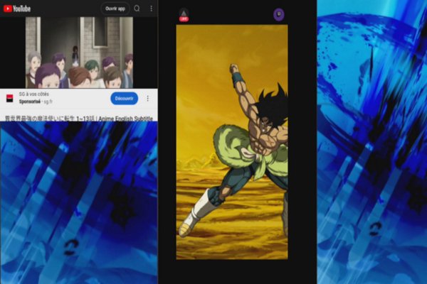 Dragon Ball Z : Dokkan Battle. Crew Superb & Extrême !!! RED Zone,…