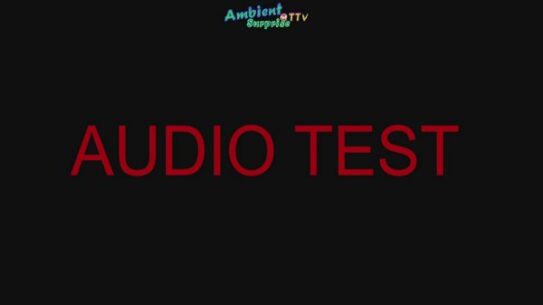 AUDIO TEST