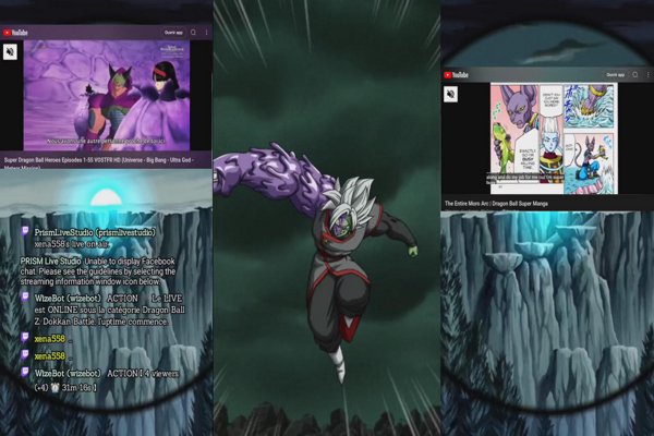 Dragon Ball Z : Dokkan Combat. RED & BLUE Zone !