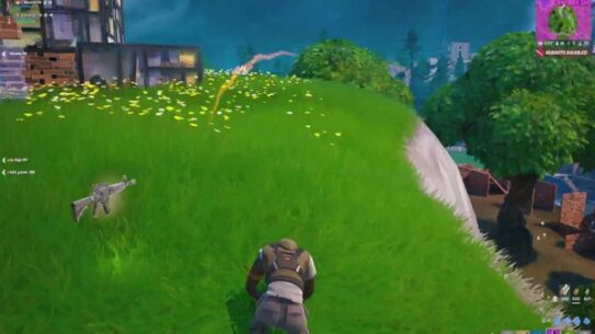 Fortnite reload gallop