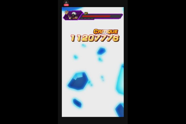 Dragon Ball Z : Dokkan Combat. avenue to Goku & hit !!!